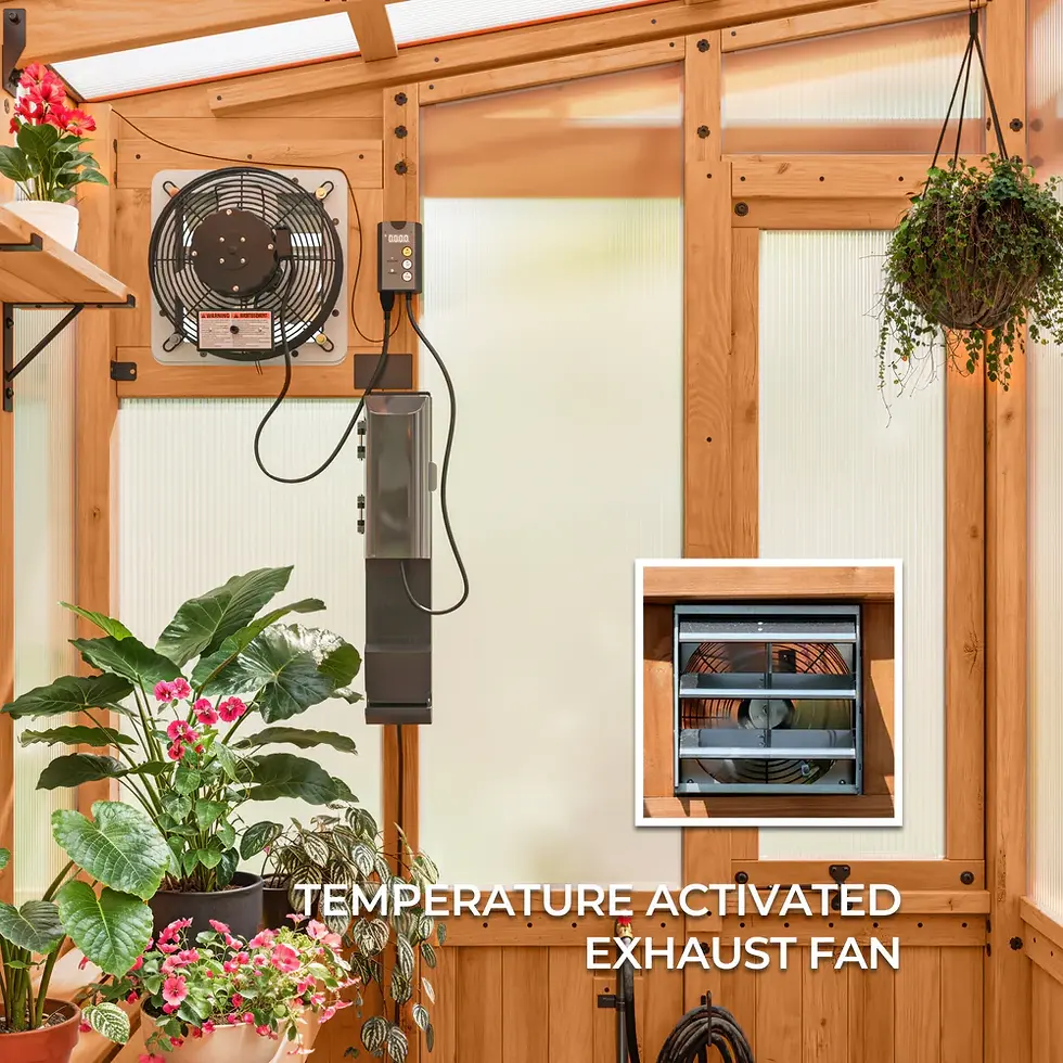 Thumbnail: Poppy Green House 9x6