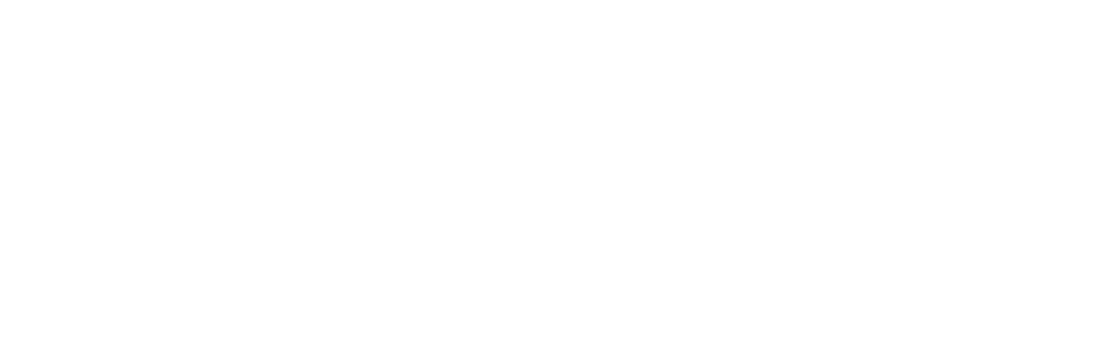 Logo_white.png