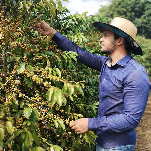 WhatsApp Image 2024-05-22 at 10.34.29.jpeg