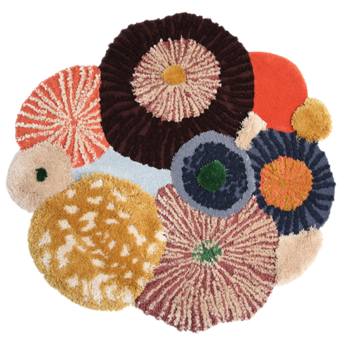 SeaWorld Rug | Cocono