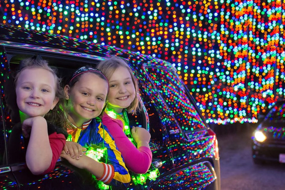 Magic of Lights | Paradise Coast Sports Complex | Naples 2Night Digital Magazine