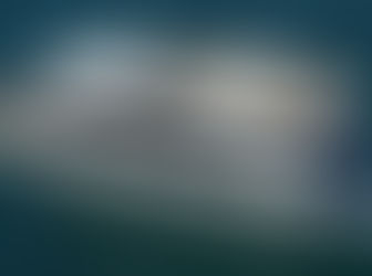 EXCHANGE 3 Networking Event: Sail into Success Aboard the Naples Princess Cruise!