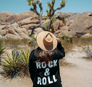 Rock & Roll_edited.jpg