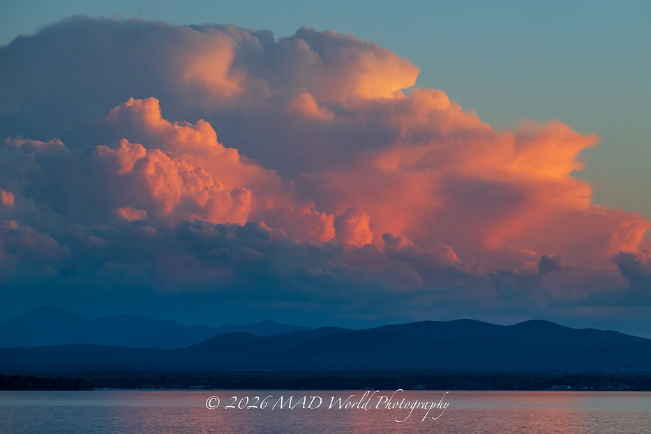 DSC_6339-Edit.jpg