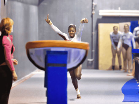 Gymnastics Programs: Recreational, Developmental & team