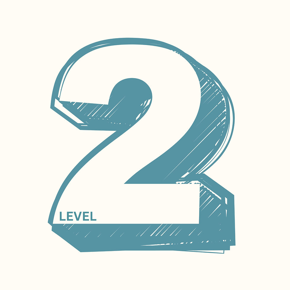 level 2_edited