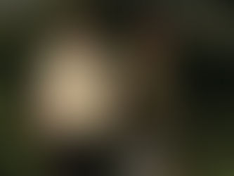 Biolandbau in Brasilien - Teil zwei