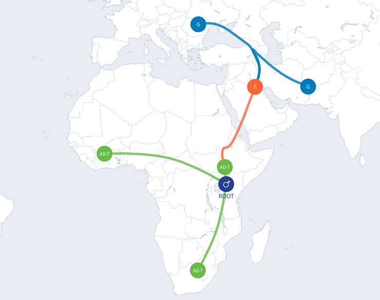 Paternal (Y-DNA) migration of Haplogroup G2a2b2a1a1a1