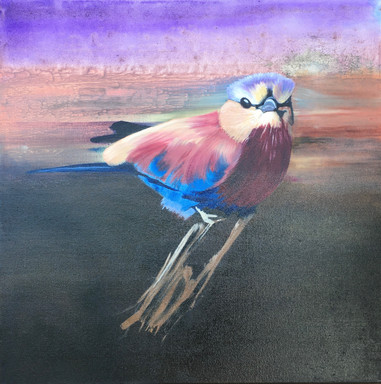 Lilac Crested Roller - 50 x 50 - Oil - £195