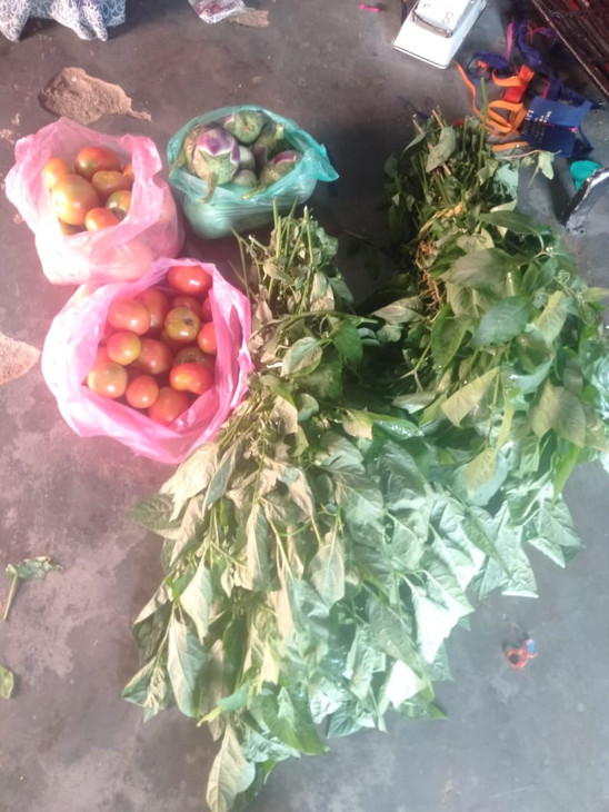 harvest.jpeg