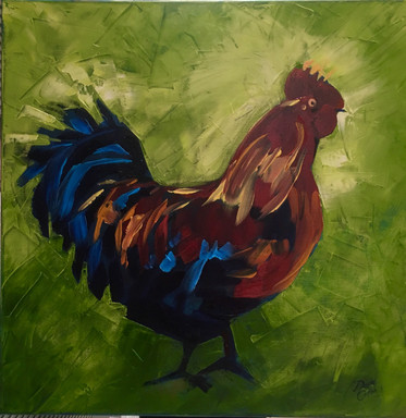 Funky Cockeral - Oil - 50 x 50 - £195