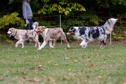 43285383_1102186373315511_5316231818008068096_n