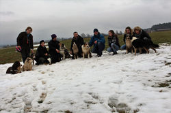 16825986_1244967565581234_1018719828642235687_o