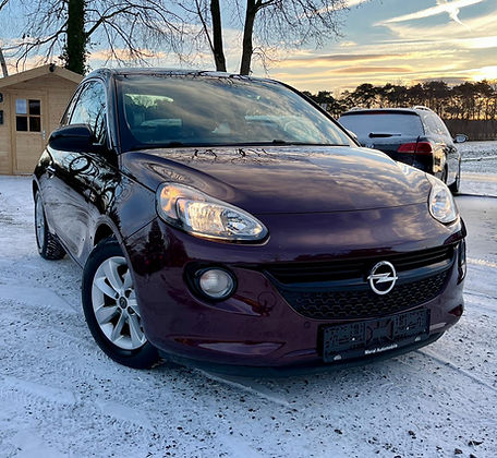 WhatsApp Image 2026-01-11 at 11.19.21.jpeg