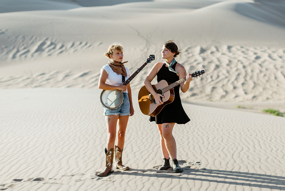 THE  MONTVALES "Bitterzoete in Americana gedrenkte country-folk"