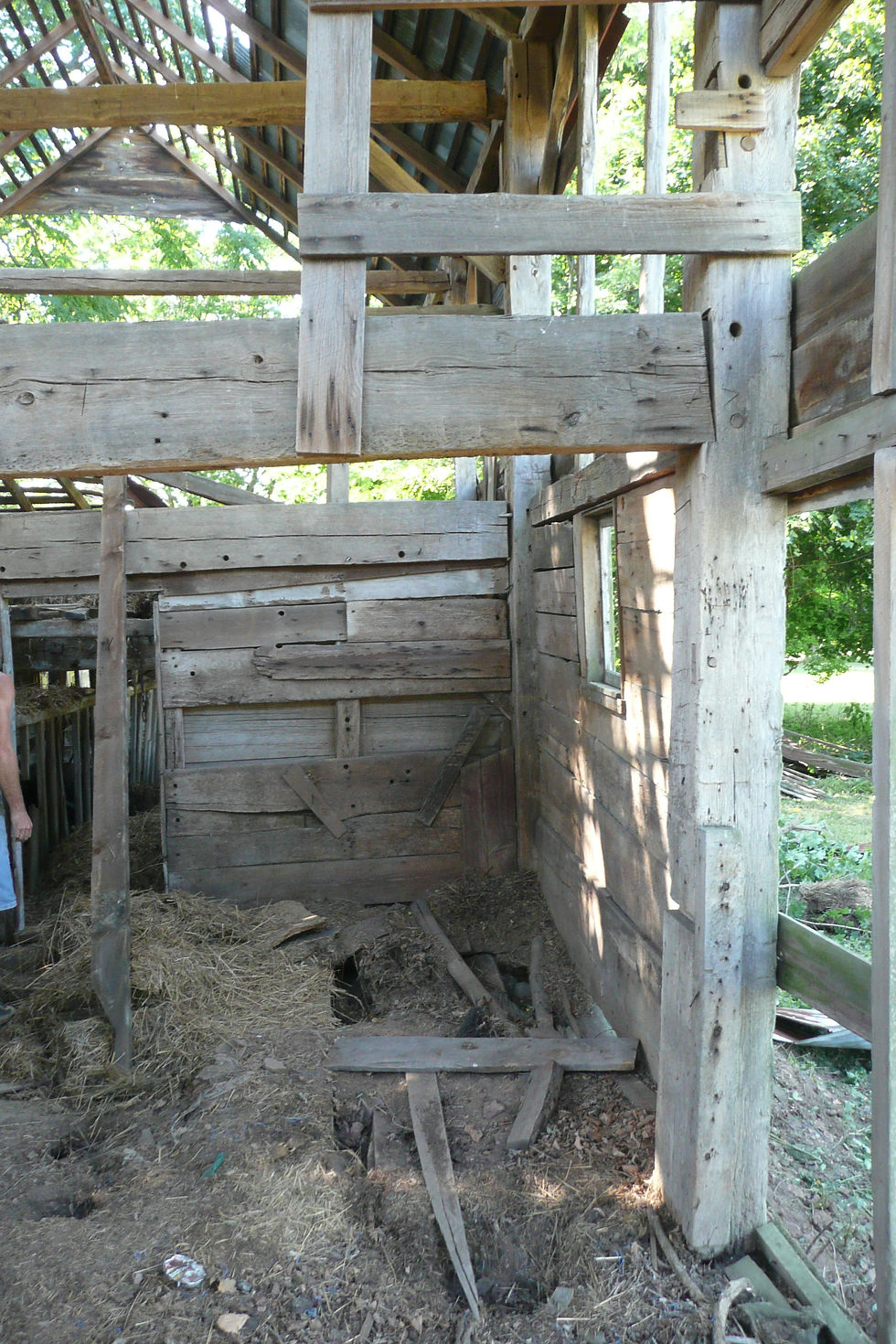 Thumbnail: Forman Galloway (B0015)