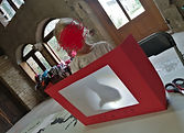 IMG_20210804_112004.jpg