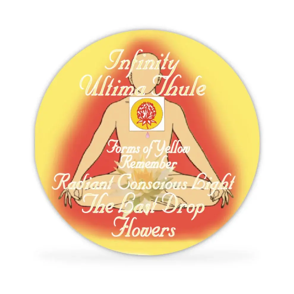 The Last Drop Flowers Disc