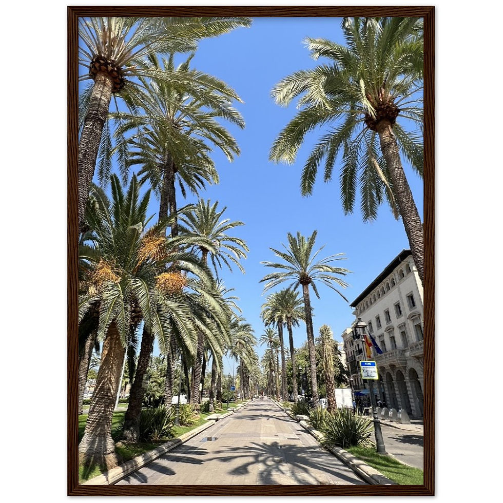 Miniaturbild: PALMA VIBES - Größe 45x60cm