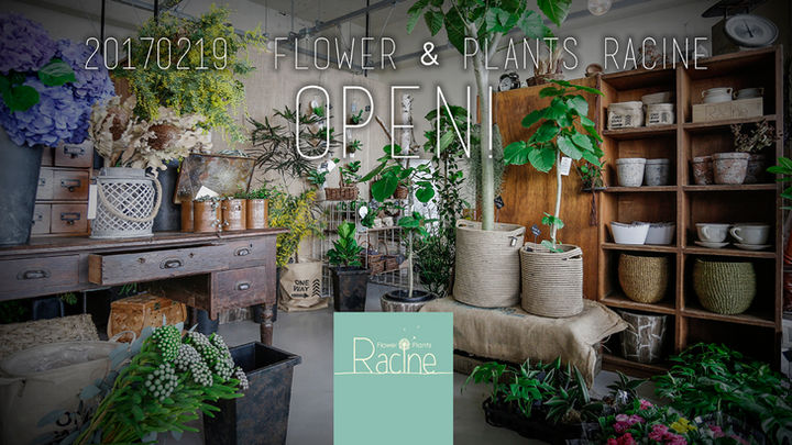 Flower & Plants Racine!