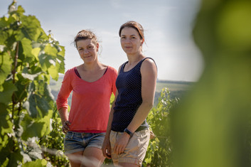 Domaine Oudin-2.jpeg
