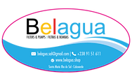 belagua logo.png