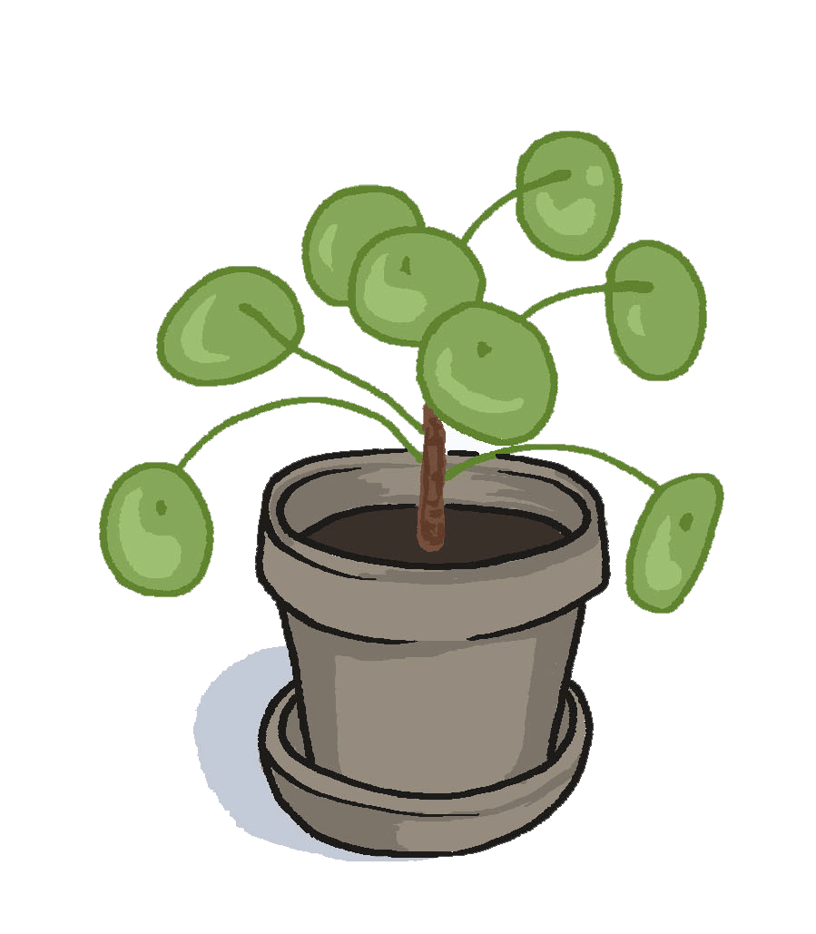 flowerpower2.gif