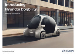 dogbility1
