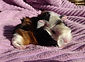 DSC08893_edited.jpg