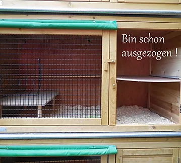 DSCN1651 - Kopie - Kopie - Kopie_JPG (1).webp