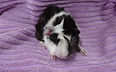 DSC08968.JPG