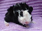DSC08929_edited.jpg