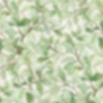 cream branches fabric by Elizabeth's Studios