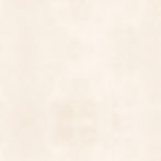 Casabella 108" Cream 3 yd cut by Blank Quilting