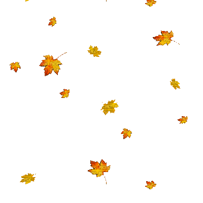 1007469_4917b.gif