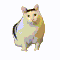 huh猫.gif