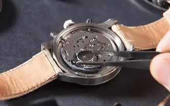 watch battery.png.webp