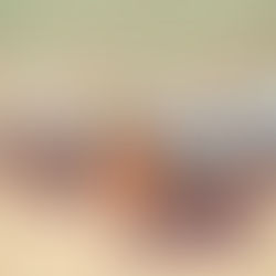 วิธีที่ AI เปลี่ยนแปลงการบริการลูกค้า