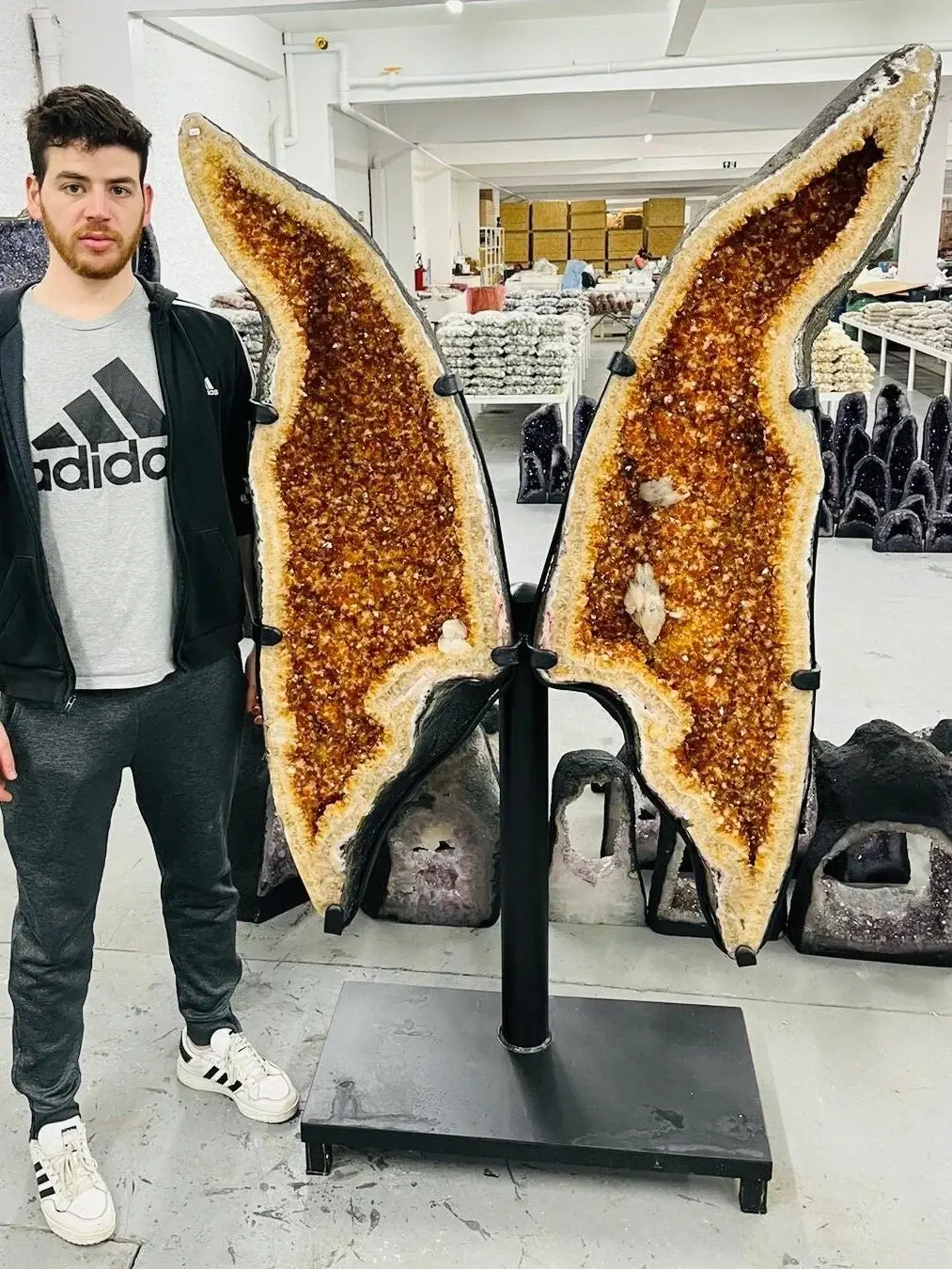 6ft Tall! Citrine BUTTERFLY/ ANGEL WINGS Crystal Pair****