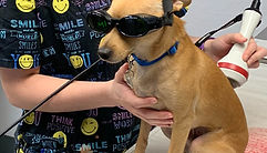 LaserTherapy_edited_edited.jpg