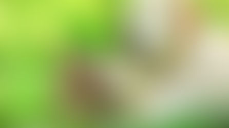 5 Pet Wellness Tips For A Healthy and Happy Life