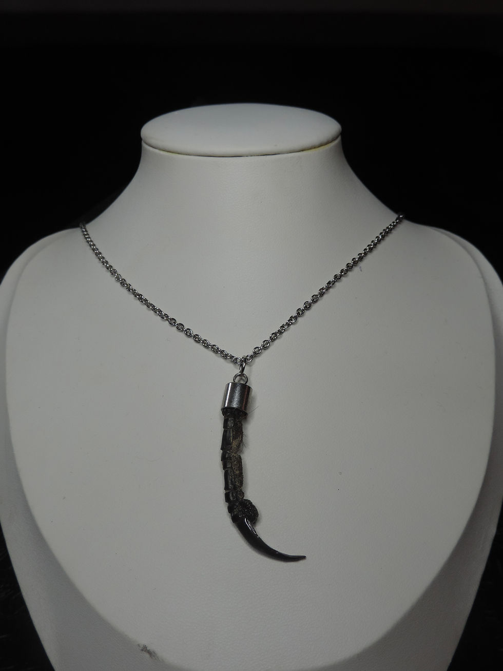 Thumbnail: Corvus Catena