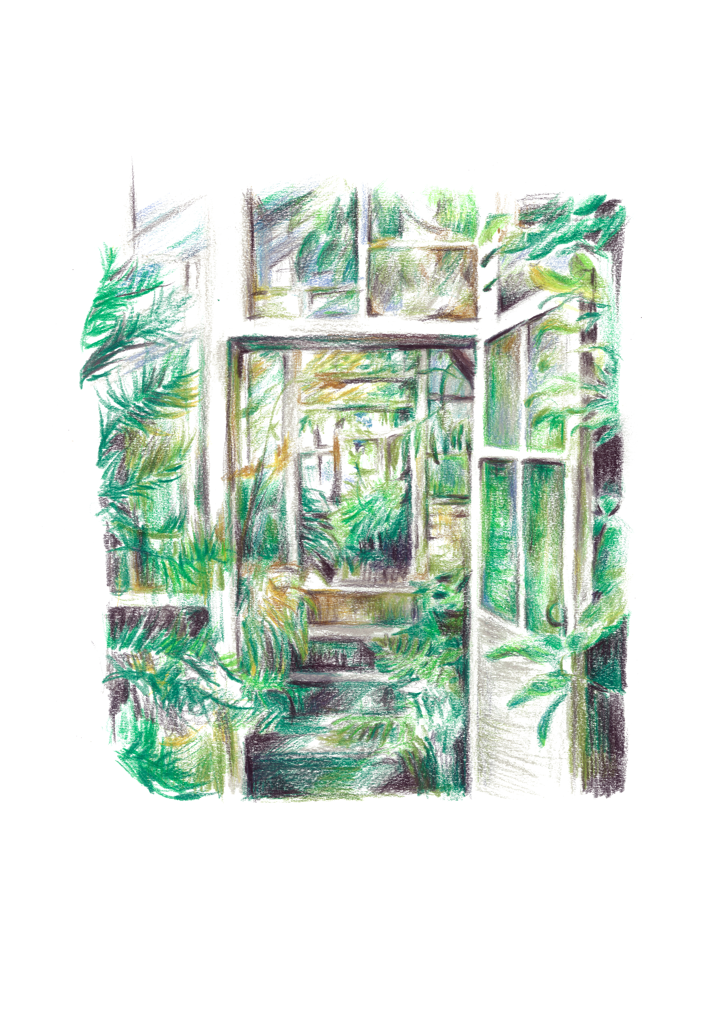 Urban jungle