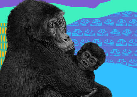 Illustration of silverback gorilla mother by wildlife illustrator Rohan Dahotre