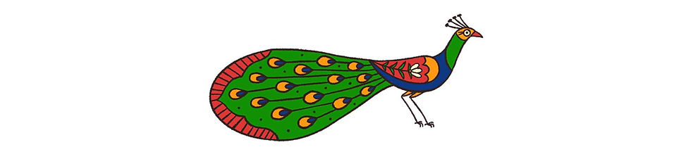 peacock illustrated in folk style by wildlife illustrator Rohan Dahotre