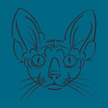 illustration of Sphynx cat by wildlife illustrator Rohan Dahotre