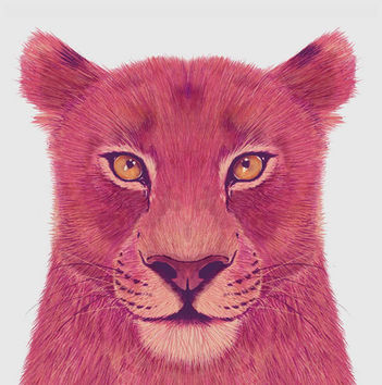 Contemporary lioness portrait illustration created with bold colors and expressive forms. Suitable for branding, editorial, publishing, packaging, and licensing.