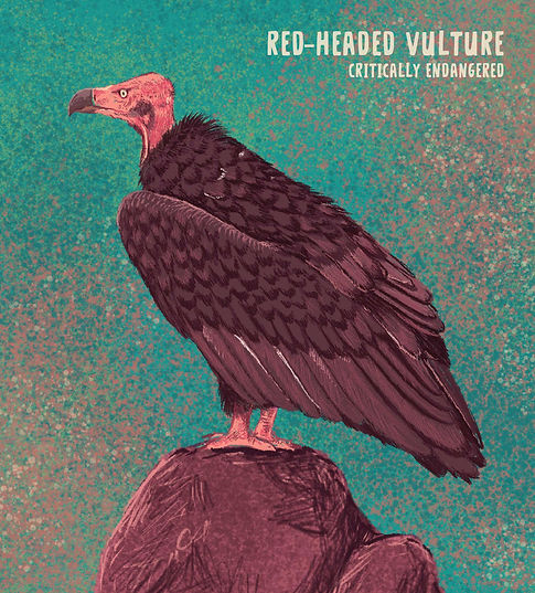 Wildlife conservation illustration highlighting the rich biodiversity of the Western Ghats, one of the world's most important ecological hotspots. Featuring endangered and threatened species including the lion-tailed macaque, Bengal tiger, red-headed vulture, and Amboli bush frog, the artwork raises awareness about deforestation, habitat fragmentation, and the urgent need to protect India's forests and wildlife. Created by wildlife illustrator Rohan Dahotre.