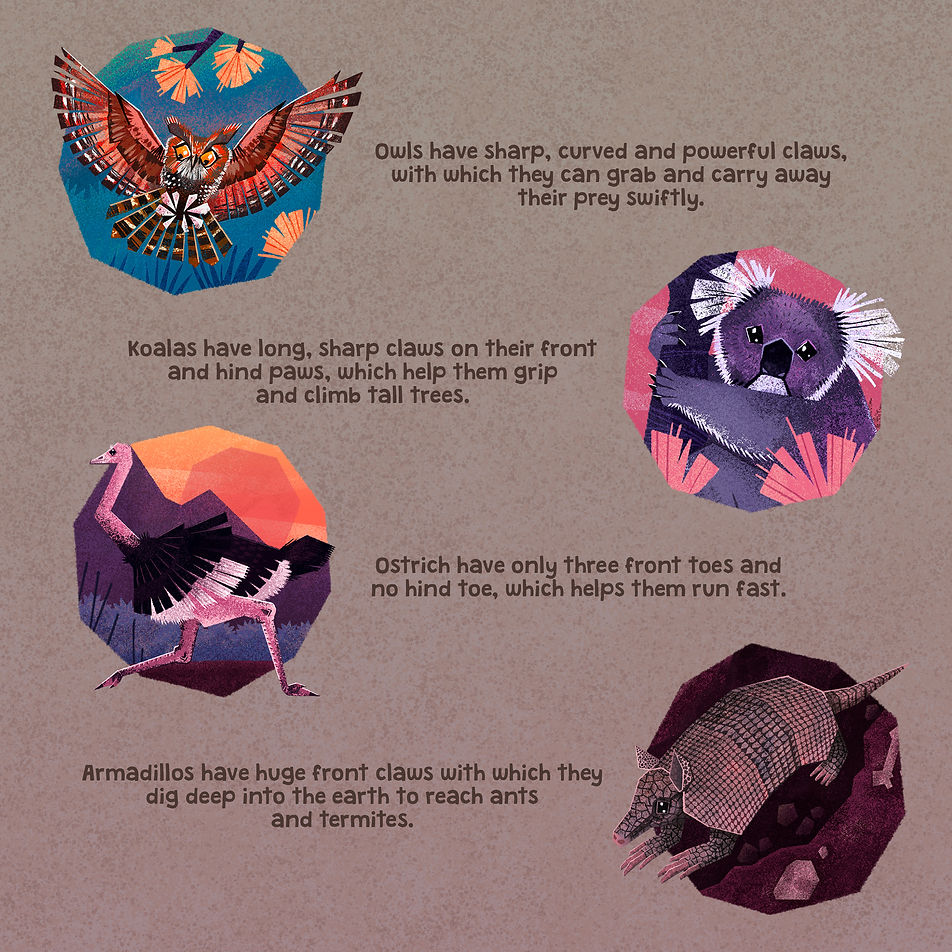 Claws Explainer_1.jpg