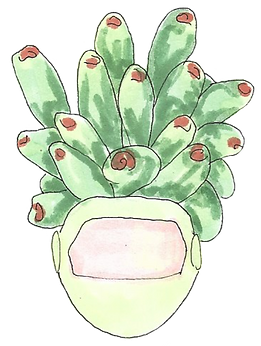 HelmetPlant13.png
